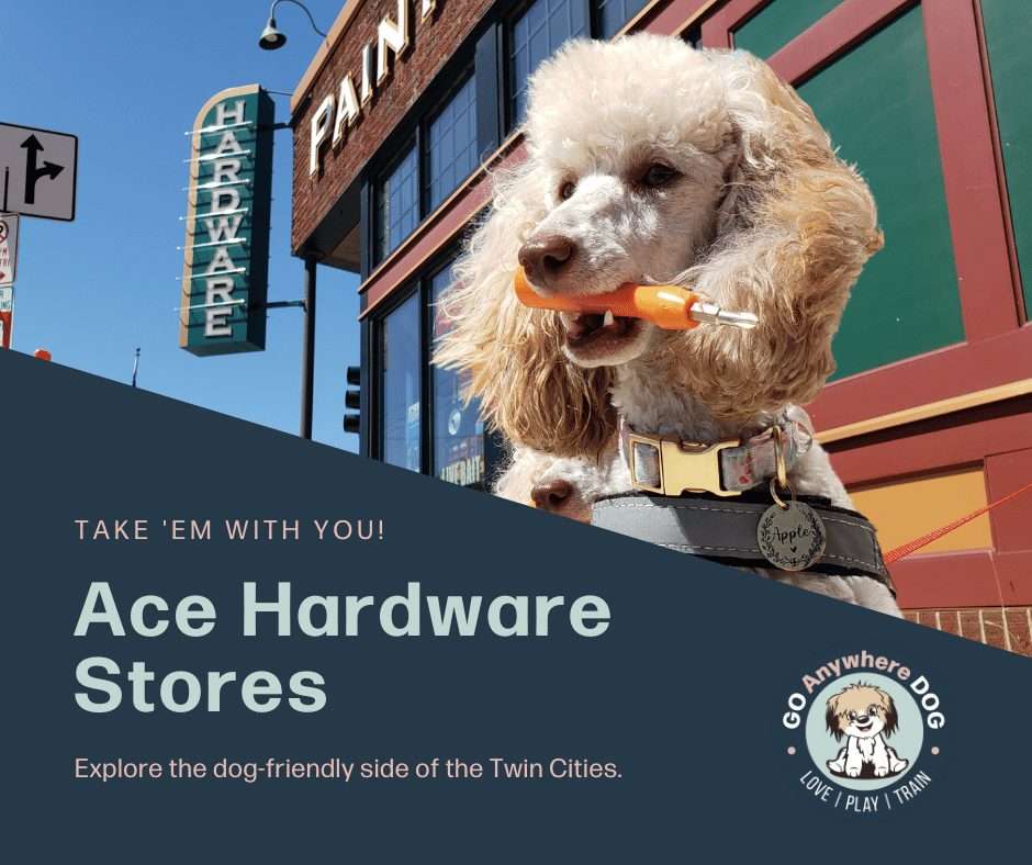 _dog friendly ace hardware – go anywhere dog®, minneapolis & twin cities, mn, dog training