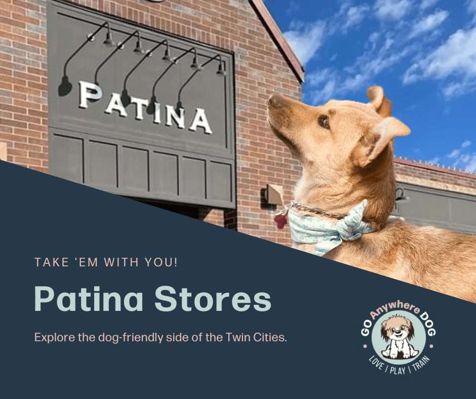 Dog friendly patina stores – go anywhere dog®, minneapolis & twin cities, mn, dog training