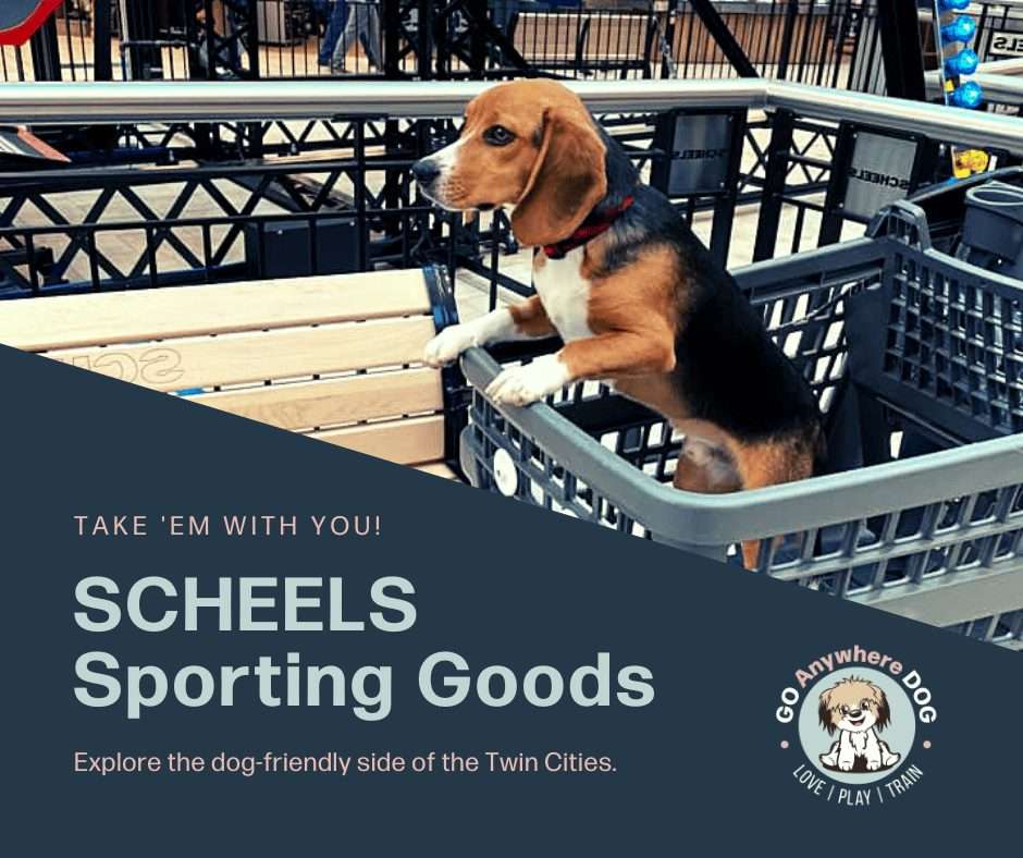 Dog-friendly scheels – go anywhere dog®, minneapolis & twin cities, mn, dog training