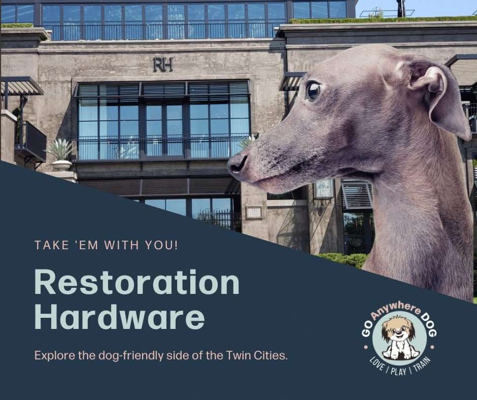 Dog-friendly store restoration hardware – go anywhere dog®, minneapolis & twin cities, mn, dog training