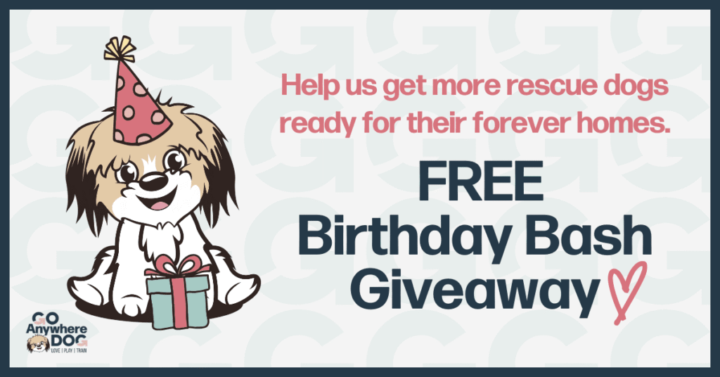 10 year dog training give-away – go anywhere dog®, minneapolis & twin cities, mn, dog training