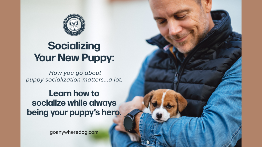 Man holding 8 week old puppy on a puppy socialization outing after learning from Go Anywhere Dog how to not get socialization wrong