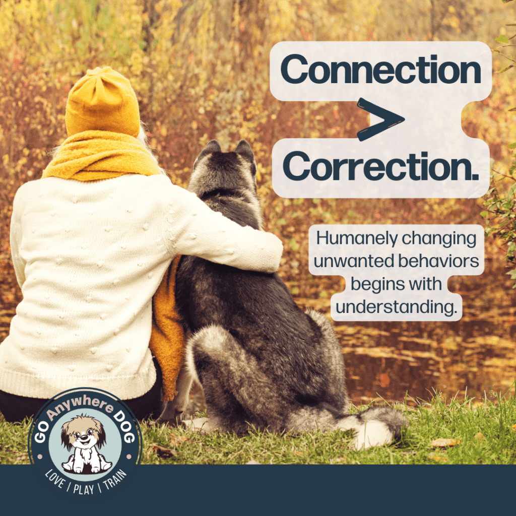 connection is greater than correction – Go Anywhere Dog®, Minneapolis & Twin Cities, MN, Puppy & Dog Training