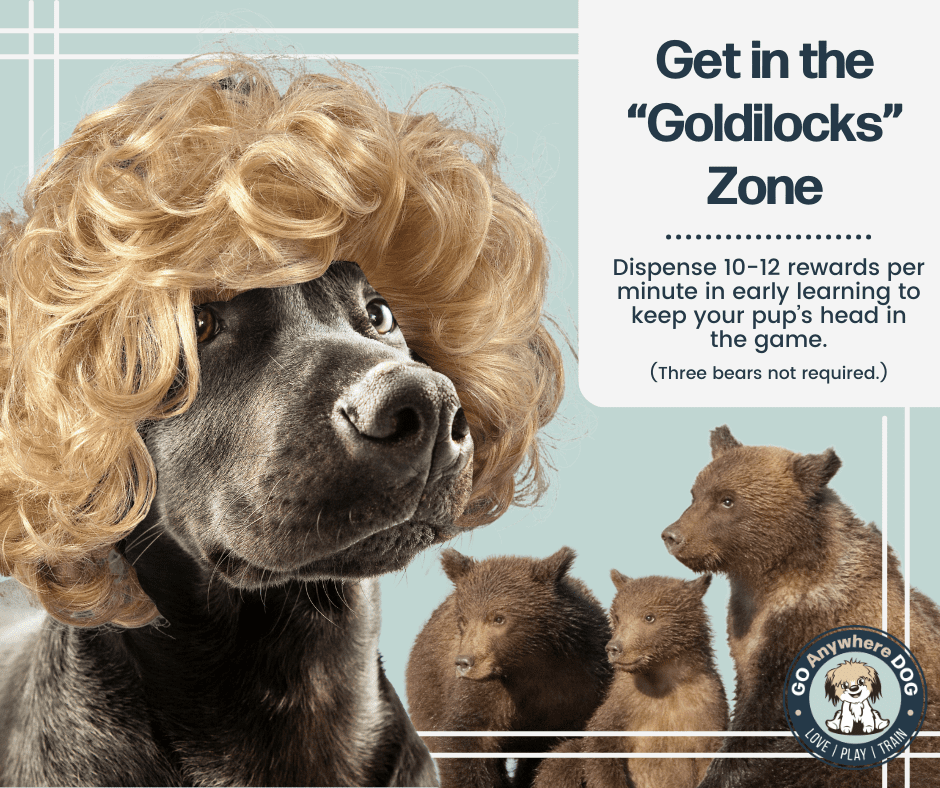Goldilocks Zone for Dog Training – Go Anywhere Dog®, Minneapolis & Twin Cities, MN, Dog Training