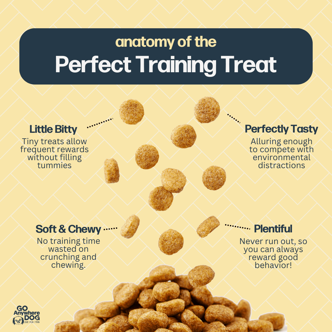 perfect dog training treats – Go Anywhere Dog®, Minneapolis & Twin Cities, MN, Dog Training