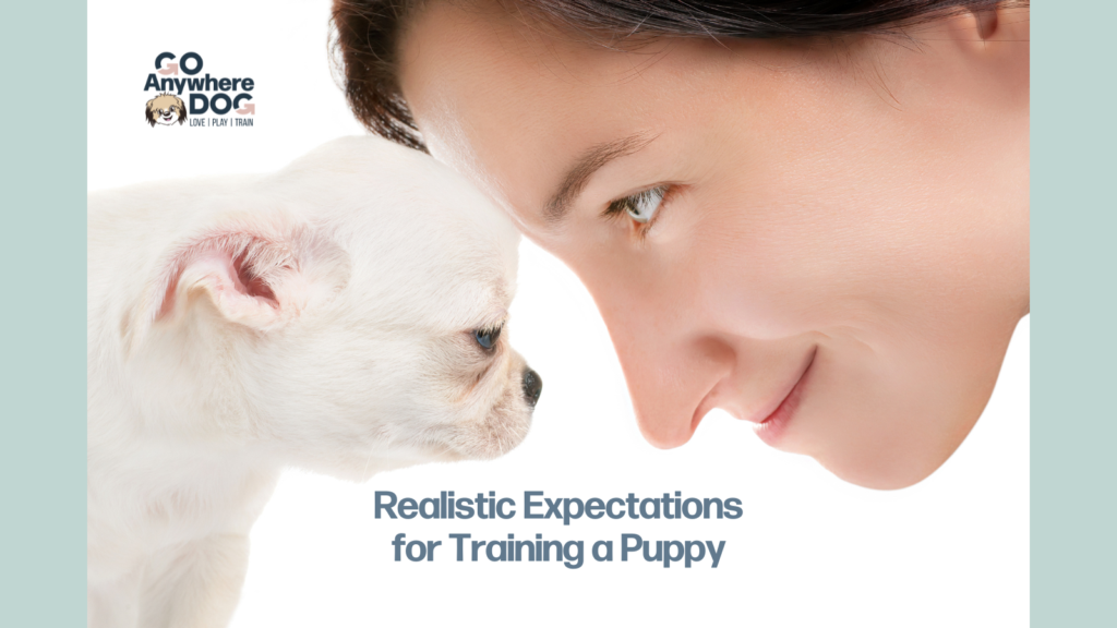 Puppy and trainer forehead to forehead before beginning training games