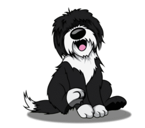 Best dog training services offered in Minneapolis Metro area