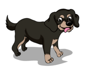 Best Puppy Training School in Minneapolis