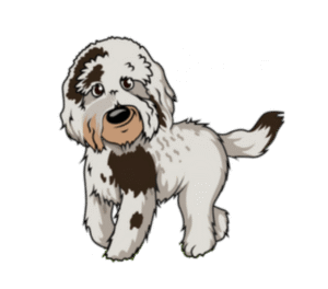 Dog training offered in Minneapolis area