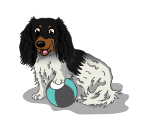 Dog training in Twin Cities, MN