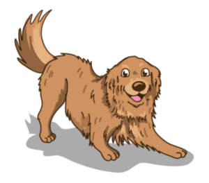 Puppy socialization serving Minneapolis, South Minneapolis, Southern and Southwestern Suburbs, MN