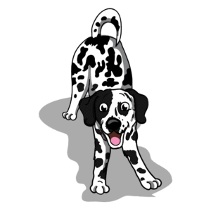 Puppy training in Minneapolis