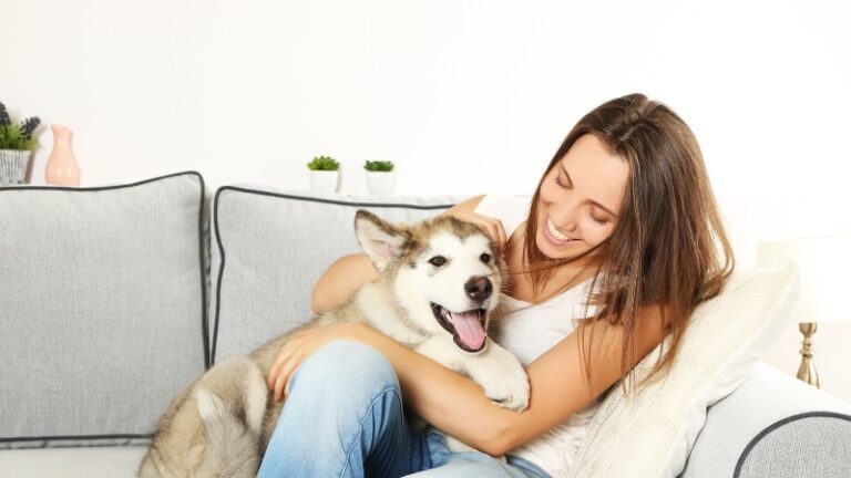 Ultimate puppy training packages in minneapolis, edina, eden prairie, bloomington, richfield, minnetonka, shakopee, savage, prior lake, hopkins, chanhassen, chaska, excelsior, mound orono, long lake, deephaven, wayzata, st louis park, plymouth, golden valley. Complete puppy training program, puppy boot camp, puppy day training