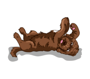 Raising puppies to be a Go Anywhere Dog®