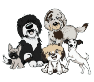 Go Anywhere Dog Puppy School Mpls – Minneapolis & Twin Cities, MN, Puppy Training