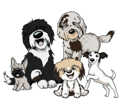 Go Anywhere Dog Puppy School Mpls – Minneapolis & Twin Cities, MN, Puppy Training