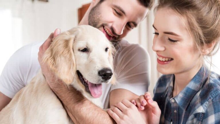 Puppy classes at go anywhere dog in minneapolis, edina, eden prairie, bloomington, richfield, minnetonka, shakopee, savage, prior lake, hopkins, chanhassen, chaska, excelsior, mound orono, long lake, deephaven, wayzata, st louis park, plymouth, golden valley