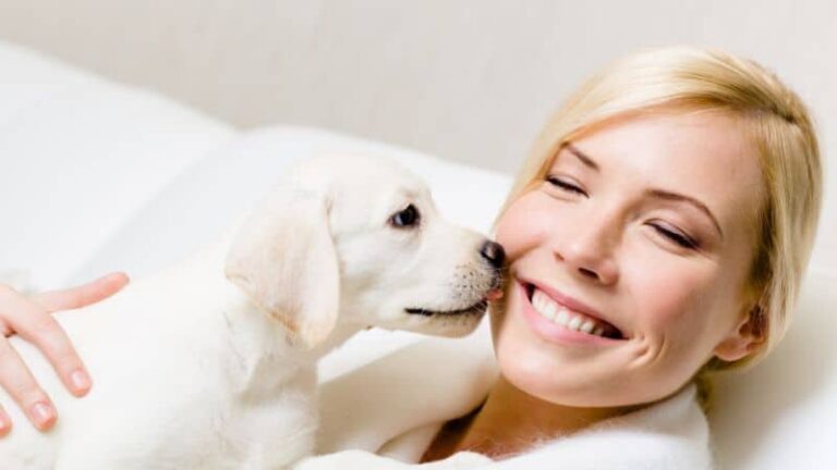 Deephaven puppy training at go anywhere dog: puppy training, puppy classes, in-home puppy training, in-home dog training, dog training classes, fear and aggression training