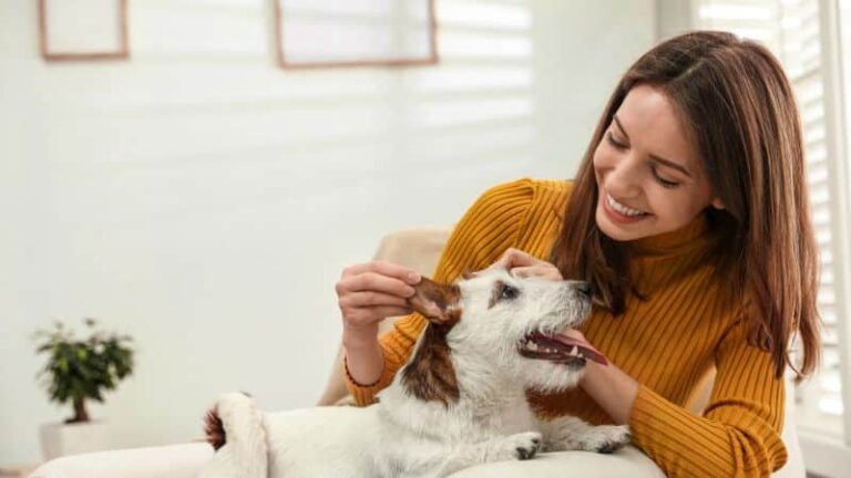 Hopkins puppy training at go anywhere dog: puppy training, puppy classes, in-home puppy training, in-home dog training, dog training classes, fear and aggression training