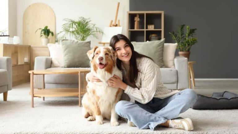 Wayzata puppy training at go anywhere dog: puppy training, puppy classes, in-home puppy training, in-home dog training, dog training classes, fear and aggression training