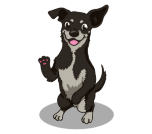 Puppy & Dog Training Near Minneapolis, Eden Prairie and surrounding suburbs – Go Anywhere Dog®, Eden Prairie, MN, Dog Training