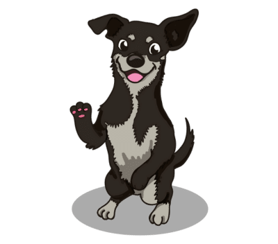 Puppy & dog training near minneapolis, eden prairie and surrounding suburbs – go anywhere dog®