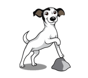 Golden valley in-home puppy dog training – go anywhere dog®, minneapolis & twin cities, mn, in-home puppy training