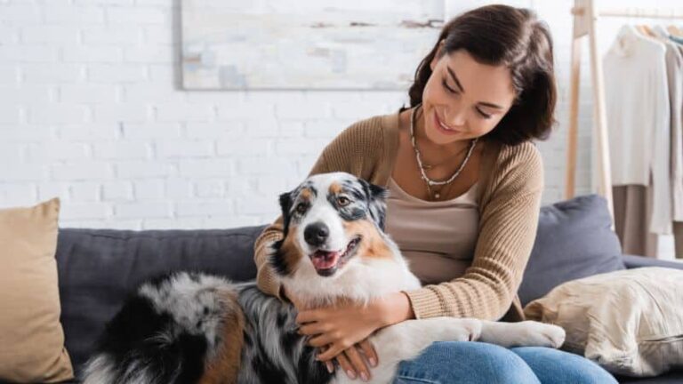 Chanhassen puppy training at go anywhere dog: puppy training, puppy classes, in-home puppy training, in-home dog training, dog training classes, fear and aggression training