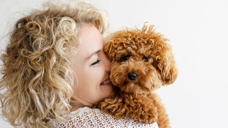 Chaska puppy training at go anywhere dog: puppy training, puppy classes, in-home puppy training, in-home dog training, dog training classes, fear and aggression training