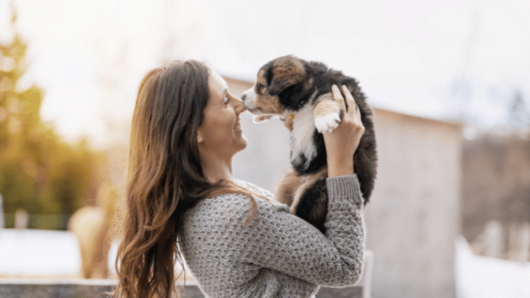 Golden valley puppy training at go anywhere dog: puppy training, puppy classes, in-home puppy training, in-home dog training, dog training classes, fear and aggression training