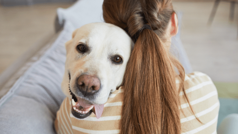 Orono puppy training at go anywhere dog: puppy training, puppy classes, in-home puppy training, in-home dog training, dog training classes, fear and aggression training