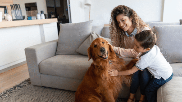 Prior lake puppy training at go anywhere dog: puppy training, puppy classes, in-home puppy training, in-home dog training, dog training classes, fear and aggression training