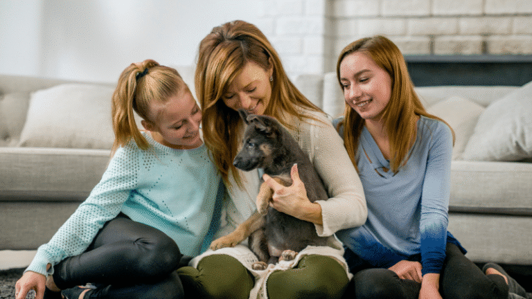 Savage puppy training at go anywhere dog: puppy training, puppy classes, in-home puppy training, in-home dog training, dog training classes, fear and aggression training