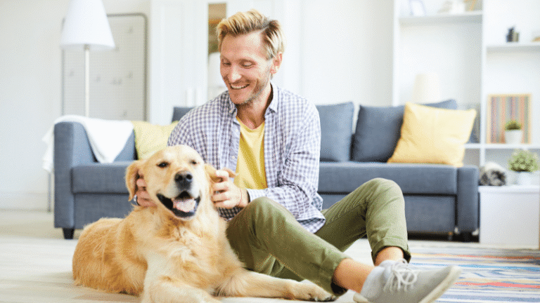 St. Louis park puppy training at go anywhere dog: puppy training, puppy classes, in-home puppy training, in-home dog training, dog training classes, fear and aggression training