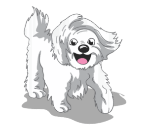 Ultimate off-leash puppy training Minneapolis – Go Anywhere Dog®, Minneapolis, MN, Puppy Training