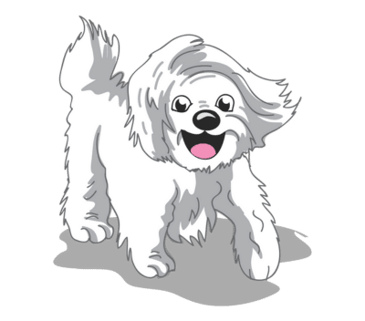 Ultimate off-leash puppy training Minneapolis – Go Anywhere Dog®, Minneapolis, MN, Puppy Training