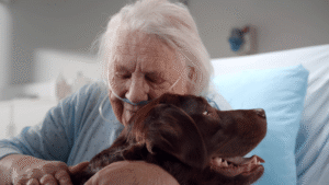 A therapy dog hug heals – go anywhere dog®, minneapolis & twin cities, mn, therapy dog training