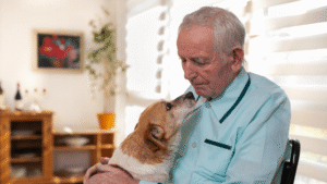 Emotional support dog comforts elderly – go anywhere dog®, minneapolis & twin cities, mn, dog training