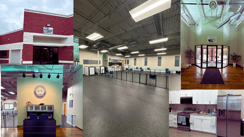 Puppy training in Eden Prairie