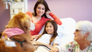 Therapy dog childrens hospital – go anywhere dog®, minneapolis & twin cities, mn, therapy dog training