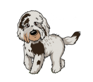 Aggressive-Dog-Training – Go Anywhere Dog®, Minneapolis & Twin Cities, MN, Dog Training