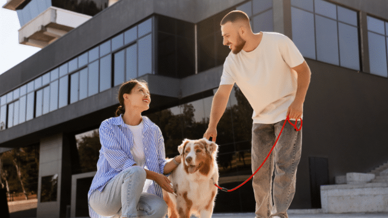 Dog and owner during training at Go Anywhere Dog