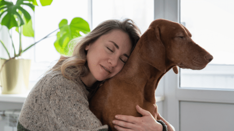 Dog and owner during training at Go Anywhere Dog in Minneapolis, Minnesota