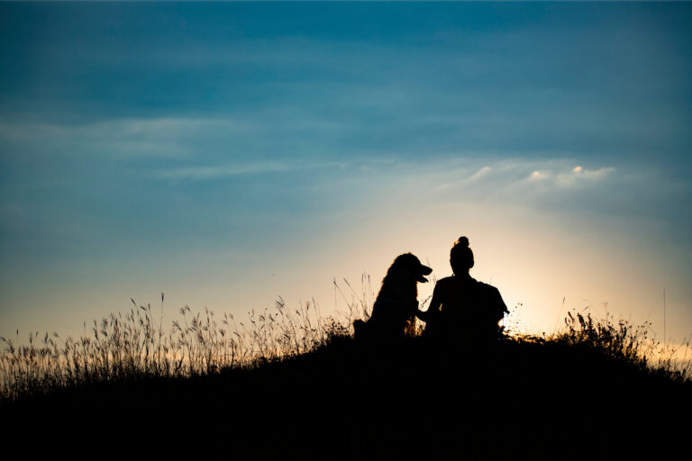 Gad® manifesto: calm dog choosing connection beside a human in a natural outdoor space