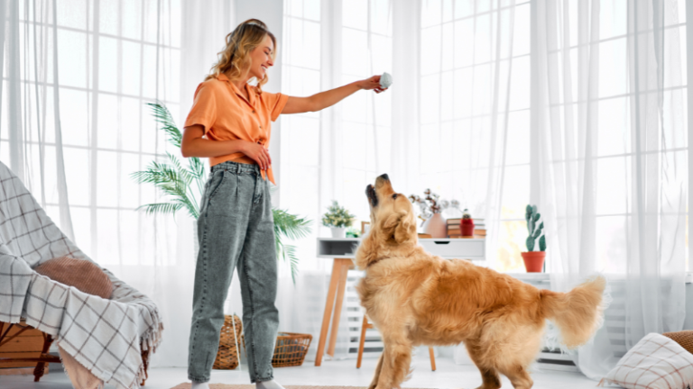 Gad® training methodology: puppy and owner during training at go anywhere dog®