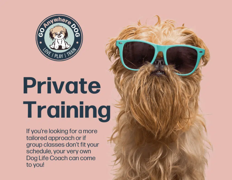 Private Puppy Training – Go Anywhere Dog®, Minneapolis & Twin Cities, MN, In-Home Puppy Training