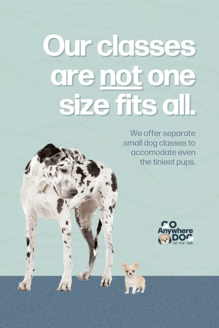 Puppy Training Classes-Minneapolis, MN – Go Anywhere Dog®, Minneapolis, MN, Puppy Training