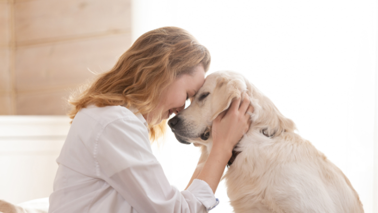 Puppy training and dog training in excelsior, mn: puppy training, dog training, puppy classes, dog group classes, in-home puppy training, private dog training, fear & aggression training