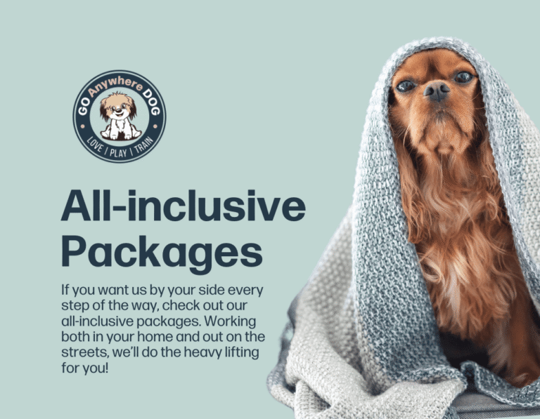 Puppy Training Packages – Go Anywhere Dog®, Minneapolis & Twin Cities, MN, Puppy Training