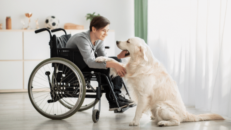 Dog and owner during training at Go Anywhere Dog in Minneapolis, Minnesota